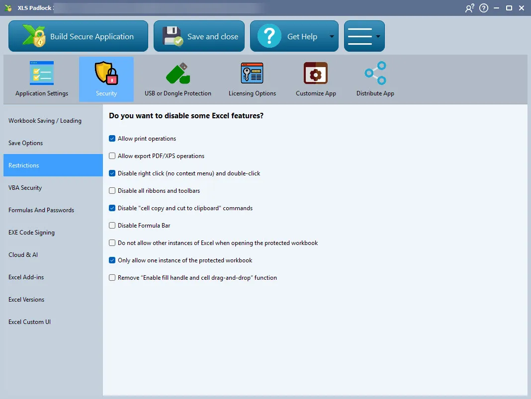 XLS Padlock Security page showing the Restrictions options