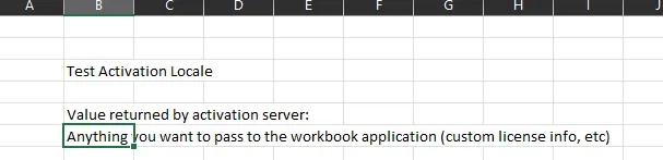 Workbook cell displaying the custom validation data returned from the server